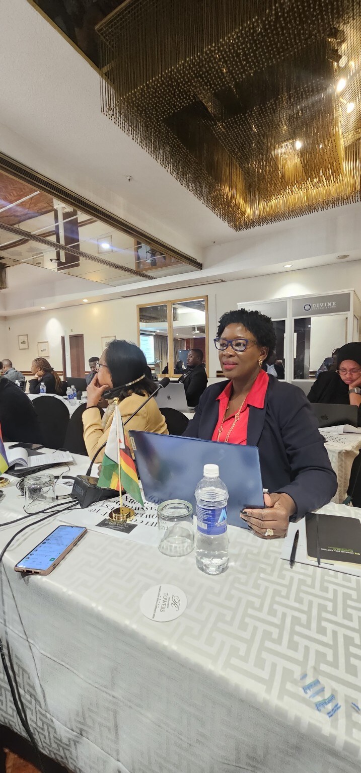 Danai Hazel Kudya participating in the Harare data governance workshop.